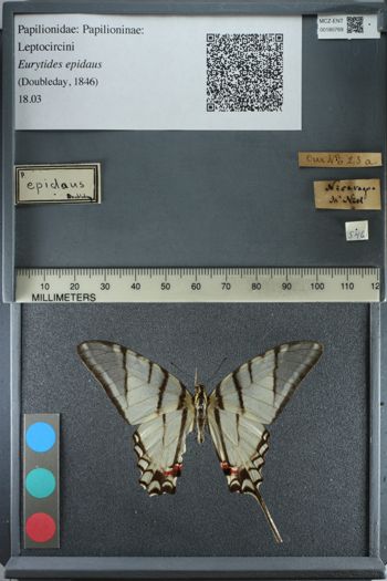 Media type: image;   Entomology 180769